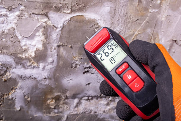Best Insurance-Related Mold Remediation in Waterville, MN